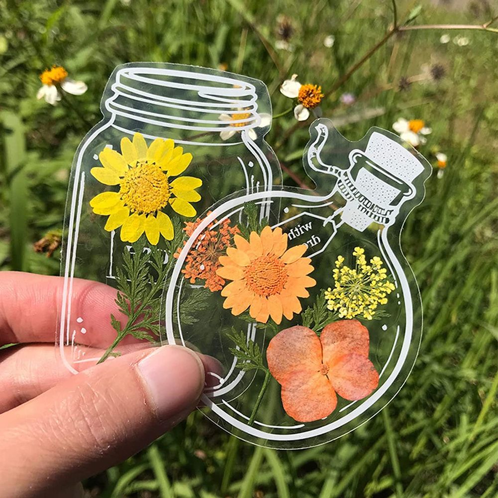 30Pcs Handmade DIY Transparent - огляд і ціна Dried Flower Bookmark